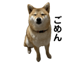 773376693