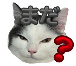 773376716