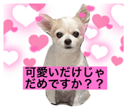 773377324