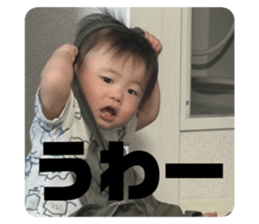 773377676