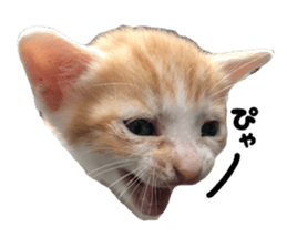 773379669