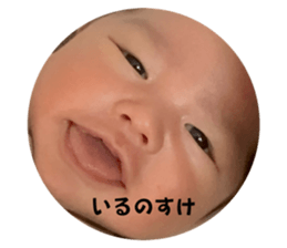 773379929