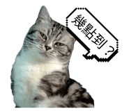 773380258