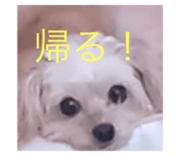 773380749