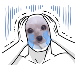 773380753