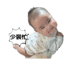 773387555