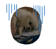 773388098