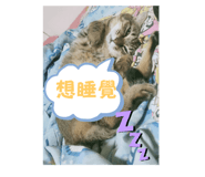773388112