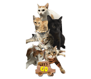 773388119