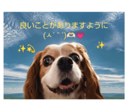 773388890