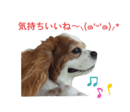 773388894