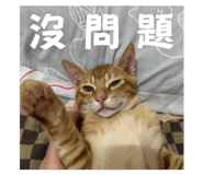 773394584