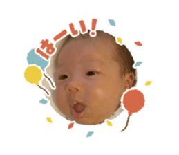 773395120