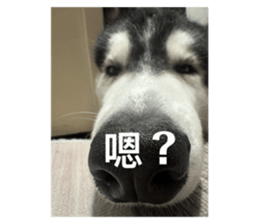 773395836