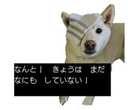 773397057