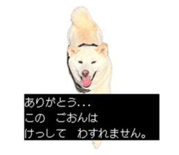 773397061