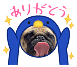 773398077