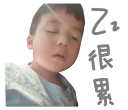 773398954