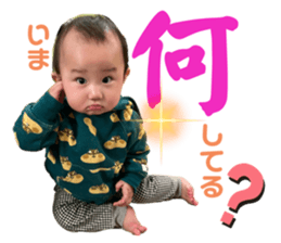 773400391