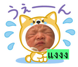 773405911