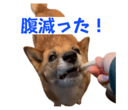 773408355