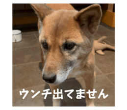 773408360