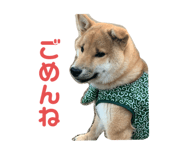 773409993