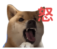 773410007