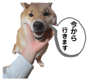 773410011