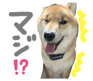 773410014