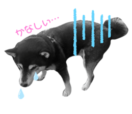 773412359