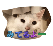 773417210