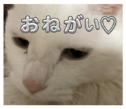 773417211