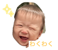 773417321