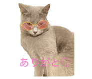 773417355