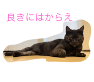 773417357