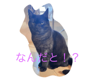 773417359
