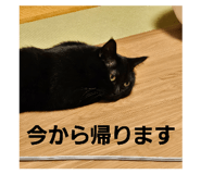 773417387
