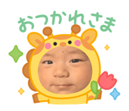 773421815