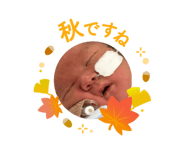 773421868