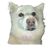773421914