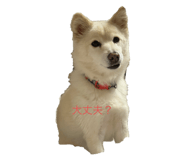 773421916