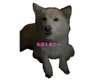 773421917