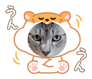 773422035