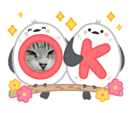 773422036