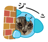 773422038