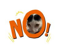 773422679