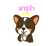 773423662