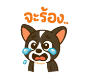 773423663
