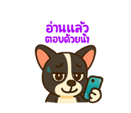 773423673